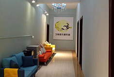 飞兔琴行