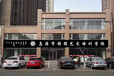 乌海雅孺艺术培训学校